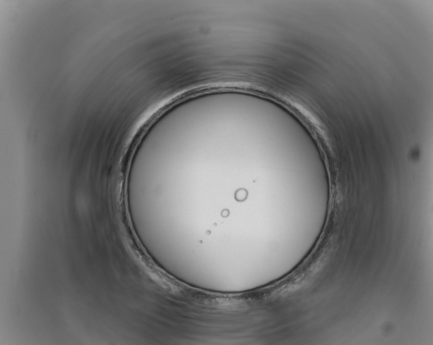 X0000091560933200708171058