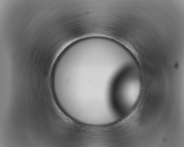 X0000091560934200708171058