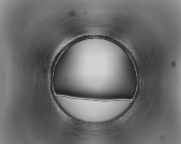 X0000091560935200708171058