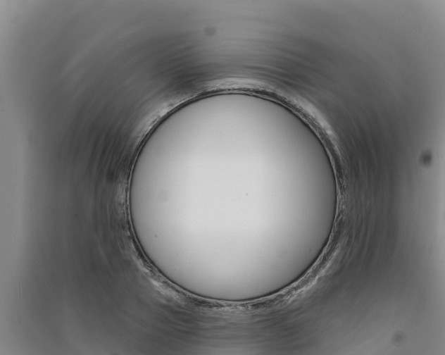 X0000091560937200708171058