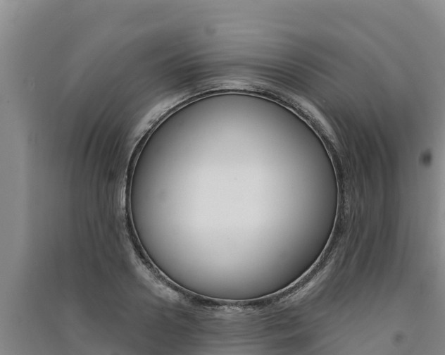 X0000091560938200708171058