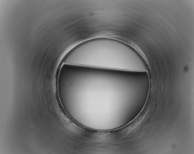 X0000091560939200708171058