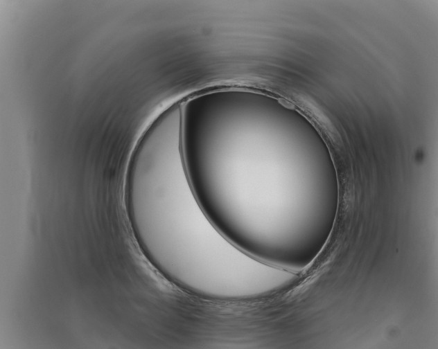 X0000091560940200708171058