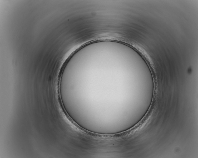 X0000091560941200708171058