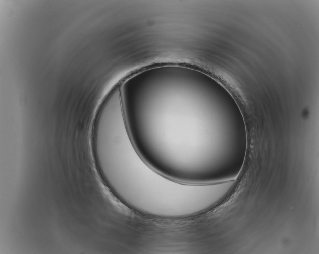 X0000091560942200708171058