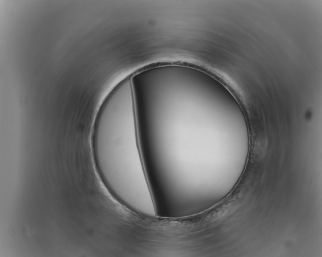 X0000091560943200708171058