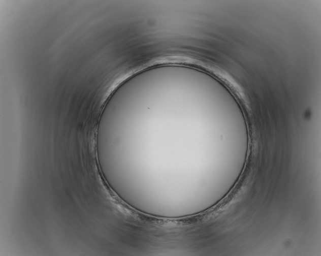 X0000091560945200708171058