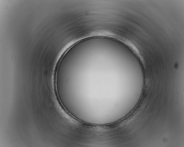 X0000091560947200708171058