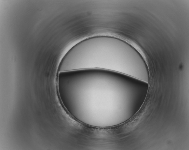 X0000091560951200708171059