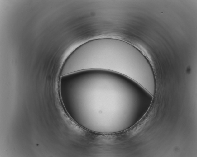 X0000091560952200708171059