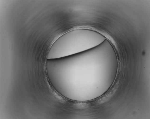 X0000091560953200708171059