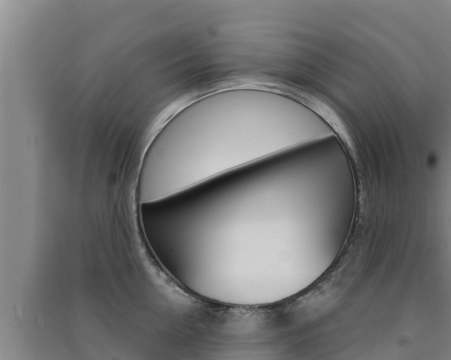 X0000091560954200708171059