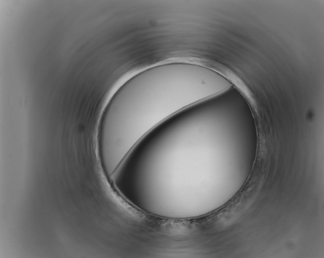 X0000091560955200708171059