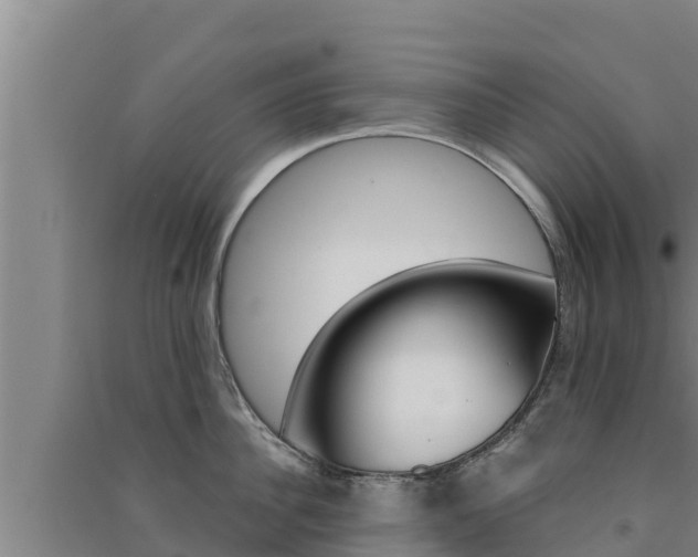 X0000091560956200708171059