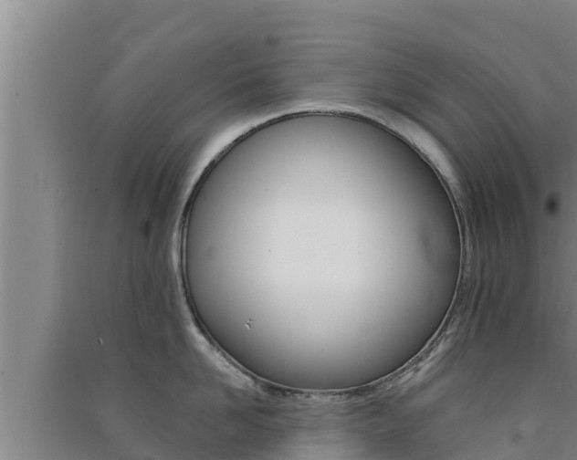 X0000091560958200708171059