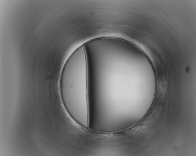 X0000091560959200708171059