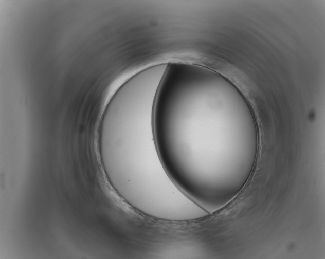 X0000091560960200708171059