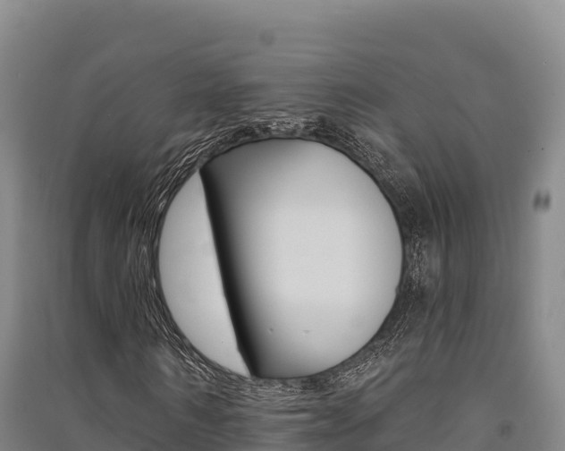 X0000091560962200708171058