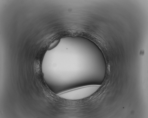 X0000091560963200708171058