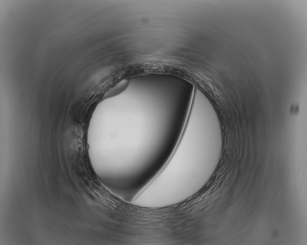 X0000091560964200708171058