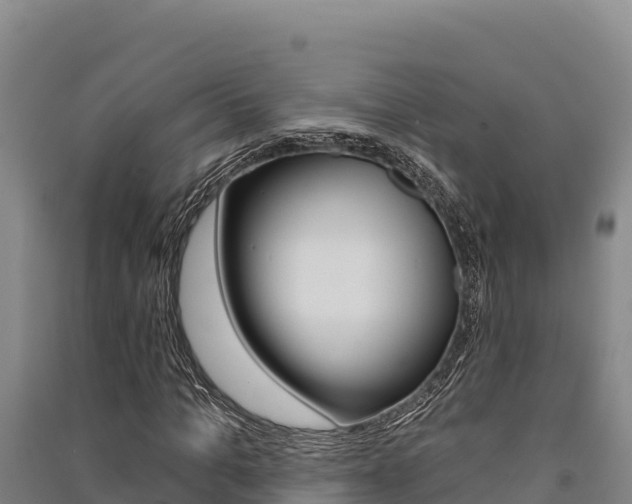 X0000091560965200708171058