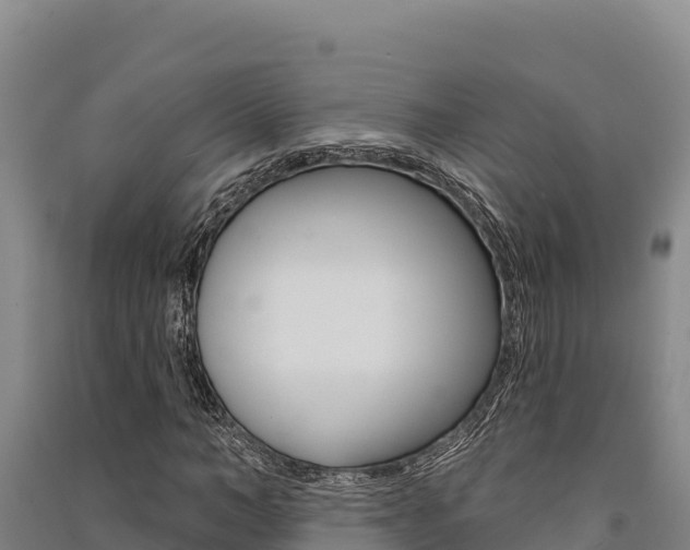 X0000091560966200708171058