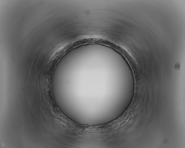 X0000091560967200708171058