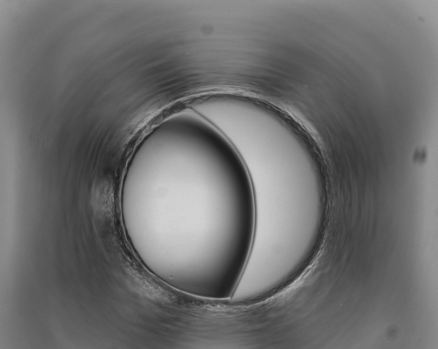 X0000091560969200708171058