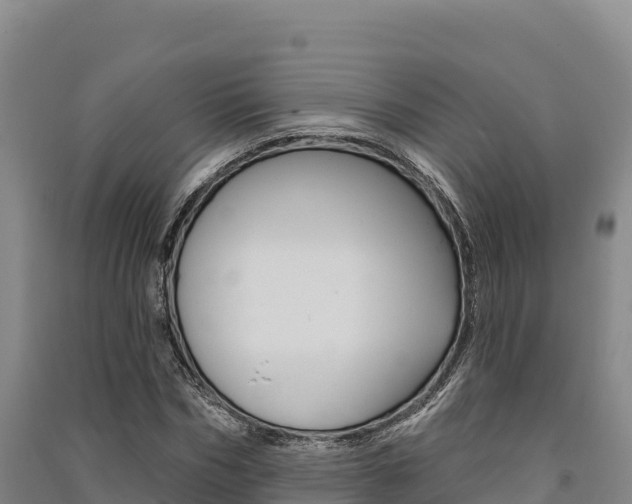 X0000091560970200708171058