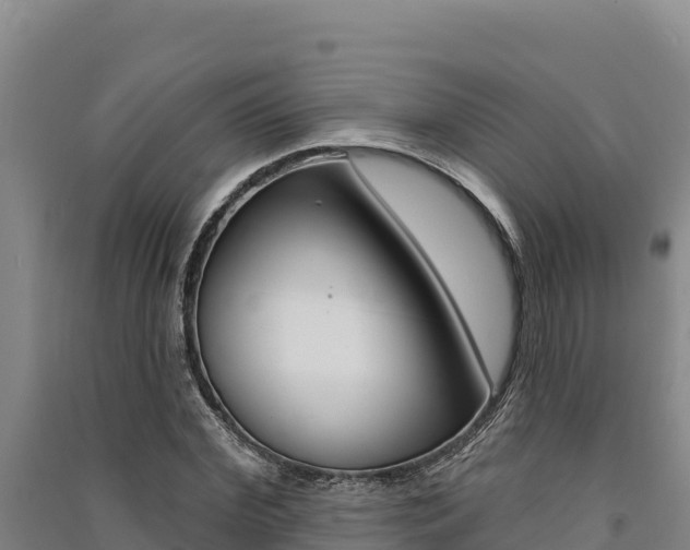 X0000091560972200708171058