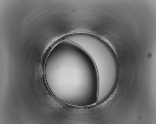 X0000091560973200708171058