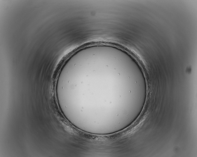X0000091560974200708171058