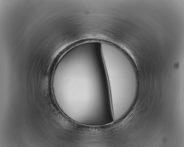 X0000091560975200708171058