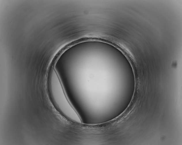 X0000091560976200708171058