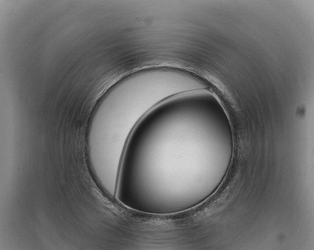 X0000091560977200708171058