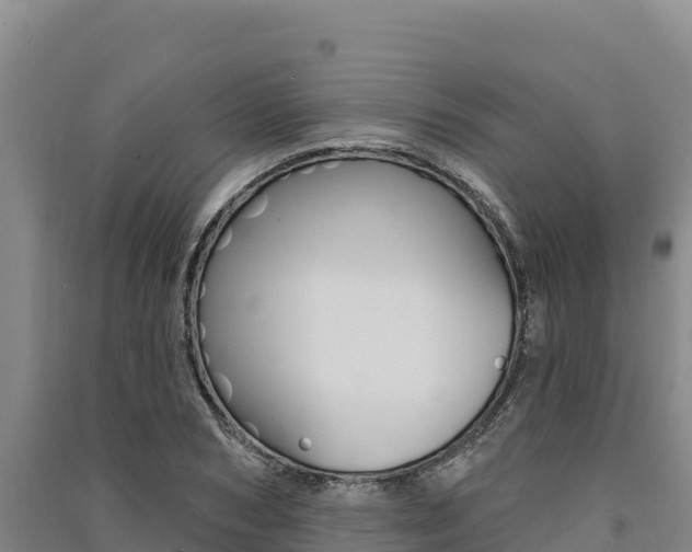X0000091560978200708171058