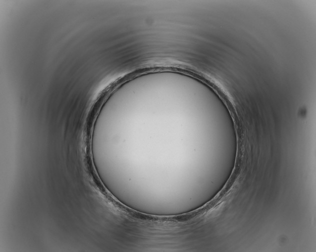 X0000091560979200708171058