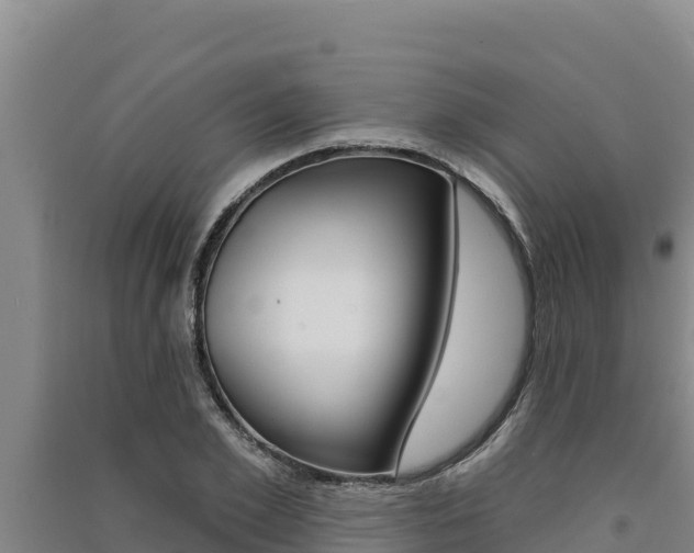 X0000091560981200708171058