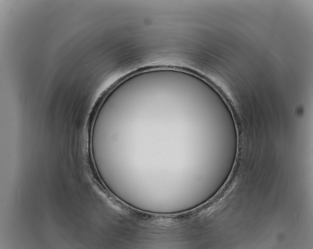 X0000091560982200708171058