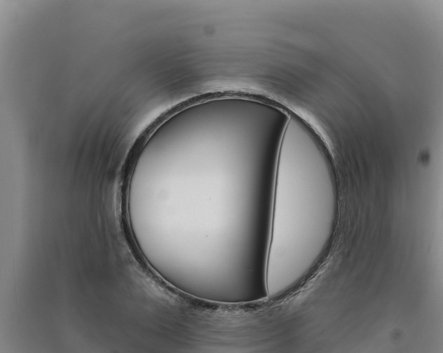 X0000091560983200708171058