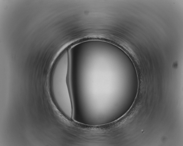 X0000091560984200708171058