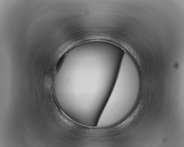 X0000091560985200708171058