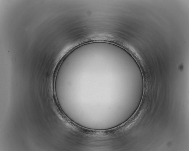 X0000091560986200708171058