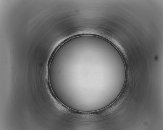 X0000091560988200708171058