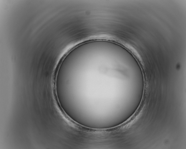 X0000091560989200708171058
