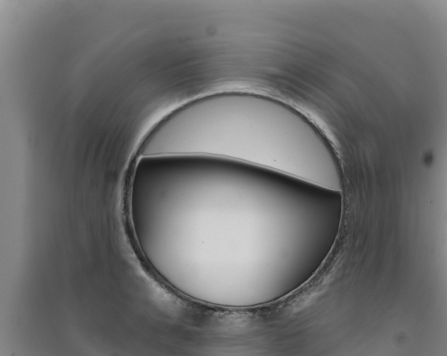 X0000091560991200708171057