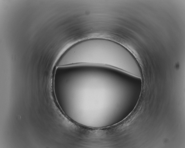 X0000091560992200708171057
