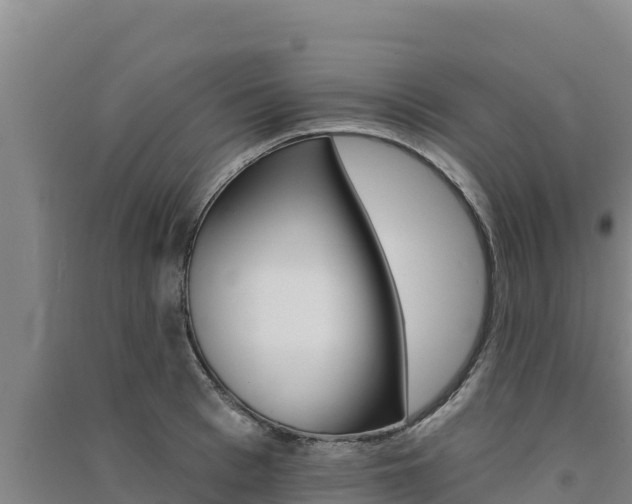 X0000091560993200708171057