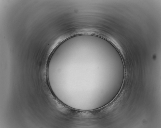 X0000091560994200708171057