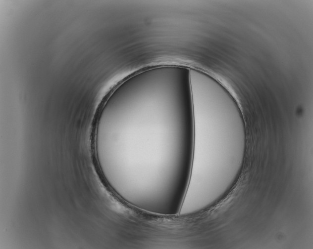 X0000091560995200708171057
